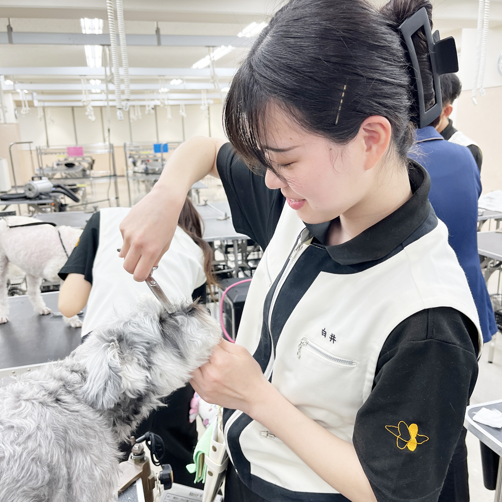 新２年生のトリミング実習！